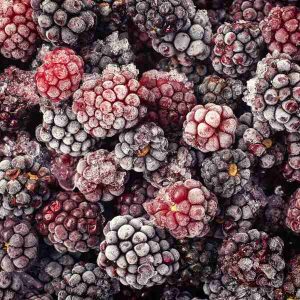 Frozen blackberries - individually quick-frozen fruit ready for delivery across the Deep South (Kommetjie, Fish Hoek, Kalk Bay, Simon’s Town).